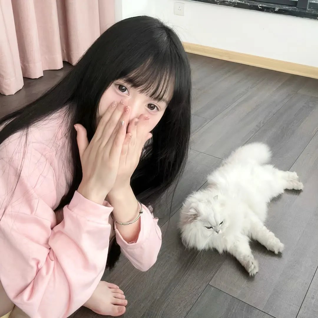 鲨颤